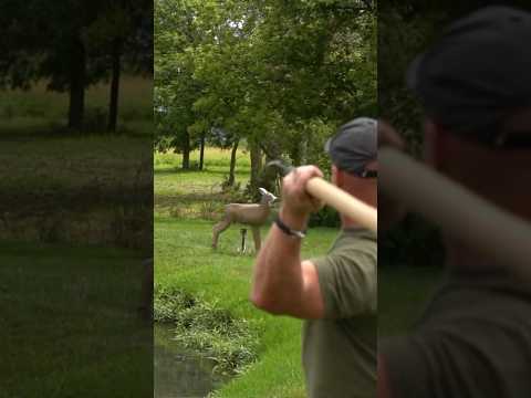 Go Primitive!!! With the American Hunting Spear by Cold Steel!!