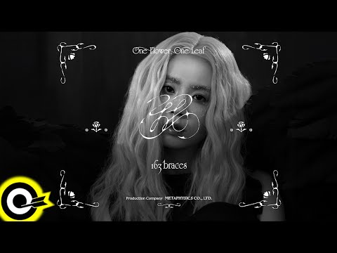 163braces【找 One Flower, One Leaf】Official Music Video(4K)