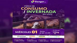 EN VIVO | Bangor // Feria de Consumo & Invernada en vivo