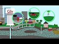 Groundwater Contamination Insights
