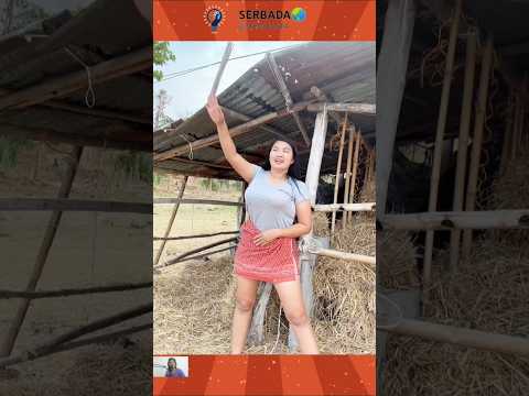 mau ketawa takut dosa (tiktok hiburan) salah nolongin #funny #comedy #humor #ตลกฮาฮา #funnyvideo