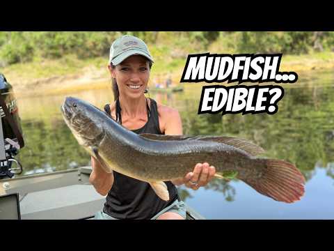 How to CRUSH the Catfish Using Limb Lines!