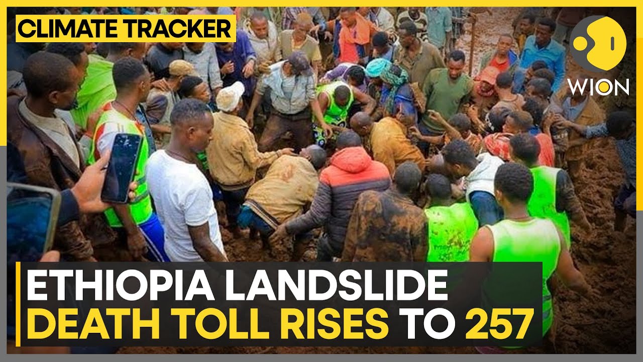 UN: Ethiopia landslide death toll could reach 500 | WION Climate Tracker