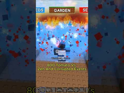 800 Tomato Vs Zen And Corrupted Events  #roblox  #growagarden #thaisunboy