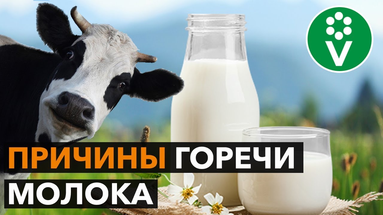 Горькая правда о молоке