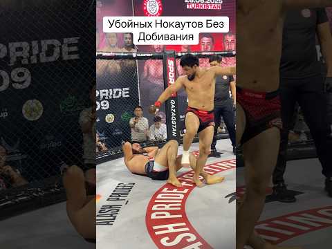 Горилла из Узбекистана 😱 #mma #видеостудия #бокс #съемкифильма #мма #фотографалматы #ufc #бои