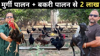 मुर्गी पालन के साथ बकरी पालन | Goat farming + Desi Poultry Farming