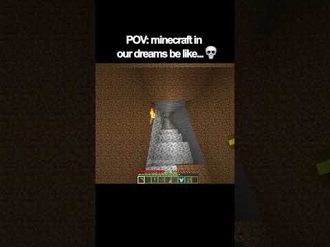 POV: minecraft in our dreams be like...