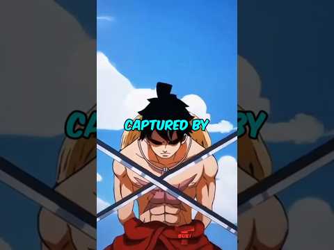 What if Luffy was captured by the Marines?