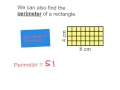 Exploring Area and Perimeter Concepts