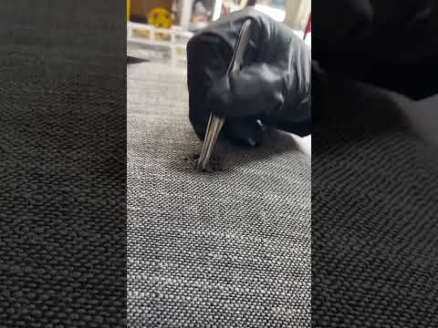 $1,000 cloth repair