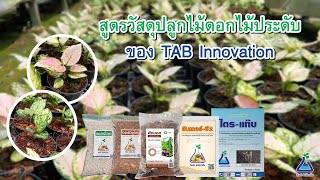 สูตรวัสดุปลูกไม้ดอกไม้ประดับของ ทีเอบี อินโนเวชั่น I TAB Innovation