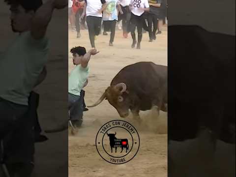 ¡¡Menuda enfila le hace al toro!! 😮🐃
