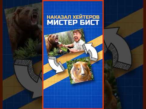 МИСТЕР БИСТ ПОСЛАЛ ХЕЙТЕРА!? #мистербист