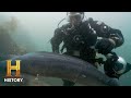 Mysteries of Loch Ness
