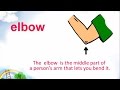 Understanding Basic Vocabulary and Concepts