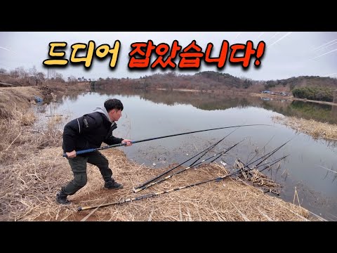 아무도 없는 조용한 저수지! 수초 사이 숨어 있는 녀석을 잡아서 술안주로 먹어보자!