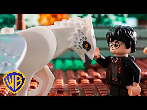 Pflege magischer Geschöpfe | Harry Potter Magische Film Momente | @WBKidsDeutschland