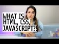 Understanding Web Development Languages