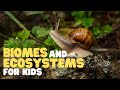 Exploring Biomes and Ecosystems for Kids