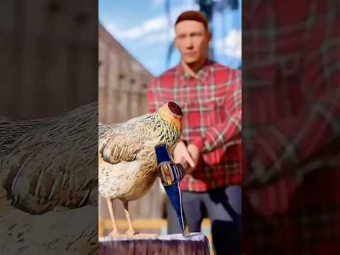 Dieses Huhn überlebte ohne Kopf.