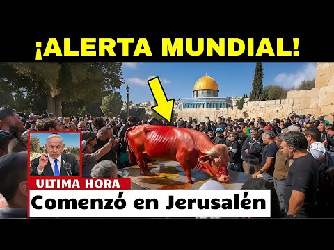 ¡IMPACTANTE! JERUSALÉN se Prepara para el REGRESO DE JESÚS