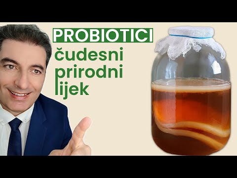 Koja je hrana najbogatija sa probioticima?