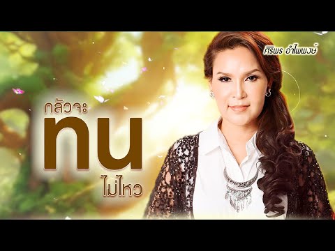 เพลง กลัวจะทนไม่ไหว ศิริพร อำไพพงษ์ (OFFICIAL AUDIO)