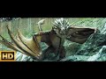 Champions and Contestants Analysis