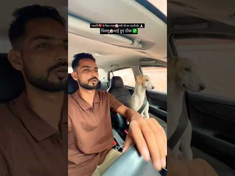 माता रानी आप सब को भी खुश रखें 🙏🏻 #street #animals #home #shelter #ytshorts #navratri #vlog #shiv