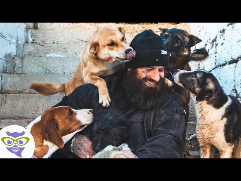 Hombre Rescata a Cientos de Perros y Los Lleva a Su Rancho