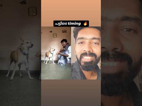 🤣😲👍#trending #shorts #short #shortsfeed #funny #viralvideo #trendingshorts #malayalam #kerala #love