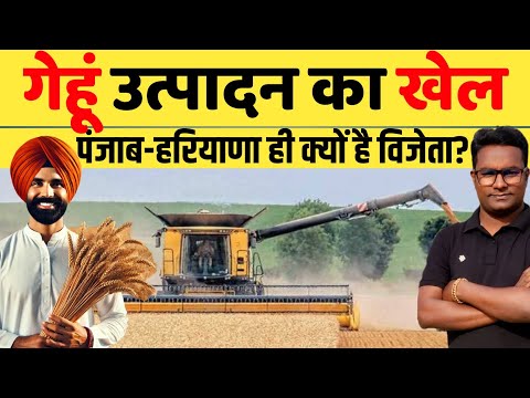 गेहूं में पंजाब-हरियाणा की बादशाहत का राज़ Secrets Behind Punjab Farmers Success in Wheat Production