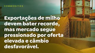 Exportações de milho devem bater recorde, mas mercado segue pressionado.