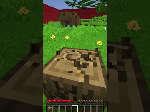 Minecraft, Dar TU Controlezi Cercul...