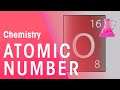 Understanding Atomic and Mass Numbers