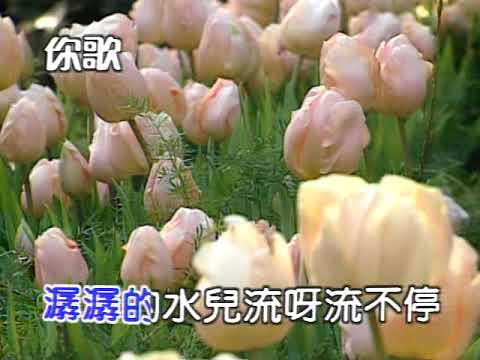 伴唱：聽泉