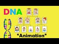 DNA Structure and Function Concepts