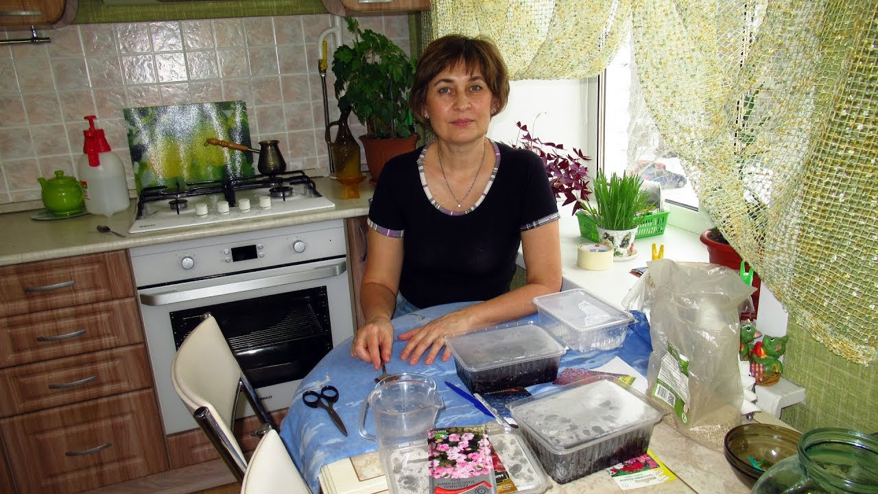 Сею цветы, лобелию и бальзамин