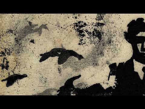 Sigur Rós - Andvari (Live in Reykjavík, 2024)