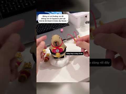 Giờ thì ai coi thường Capybara nữa hả. #xuhuong #genz #votri #haihuoc #dochoivotri