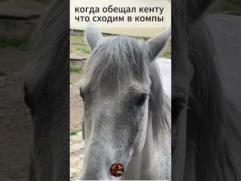 отправь другу 🤣 #rust #раст #юмор #прикол