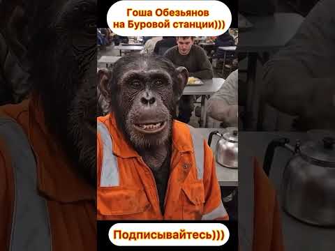 Гоша Обезьянов
