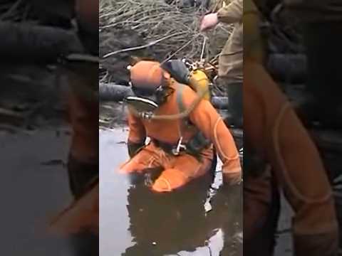 WOW! The Americans came to Russia and found a huge find in the swamp!
