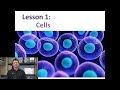 Cell Structure and Function Concepts