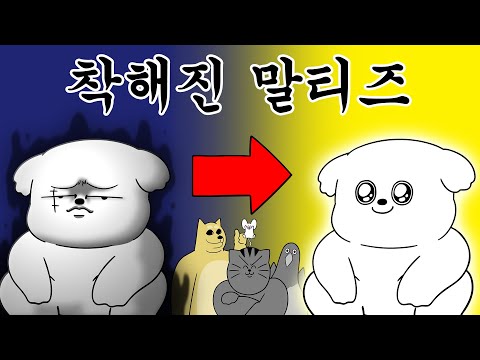 [짐승친구들] 세상에 나쁜 개는 없다