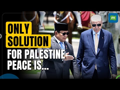 Turkey's Erdogan, Indonesia's Prabowo discuss Gaza, defence during state visit | N18G