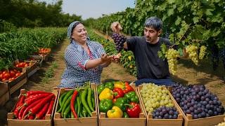 From Garden to Table: We collected all the harvest and stored it for the winter