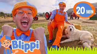 Blippi and BINGO on the Farm!🐶 | Blippi Songs 🎶| Educational Songs For Kids