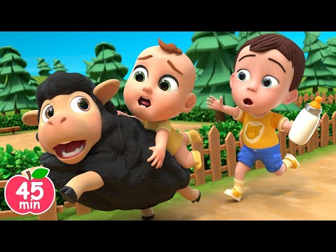 Baa Baa Black Sheep Song +More Songs For Kids | Newborn Nursery Rhymes